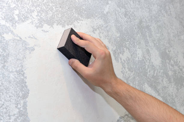 Soledad, CA Mold Removal Company