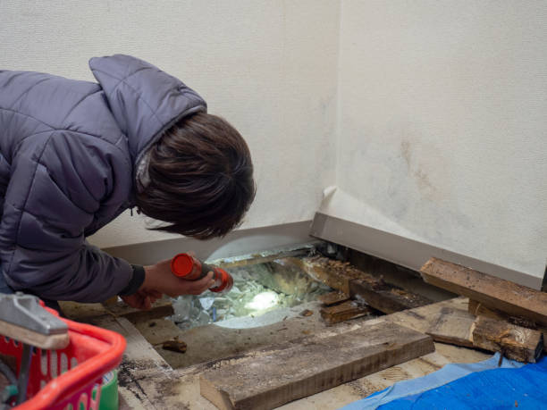 Mold Remediation for Rental Properties in Soledad, CA