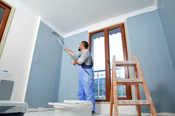 Best Black Mold Removal  in Soledad, CA