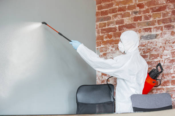 Best Comprehensive Air Testing for Mold Contaminants  in Soledad, CA