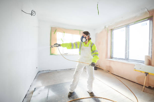 Best Mold Damage Restoration  in Soledad, CA