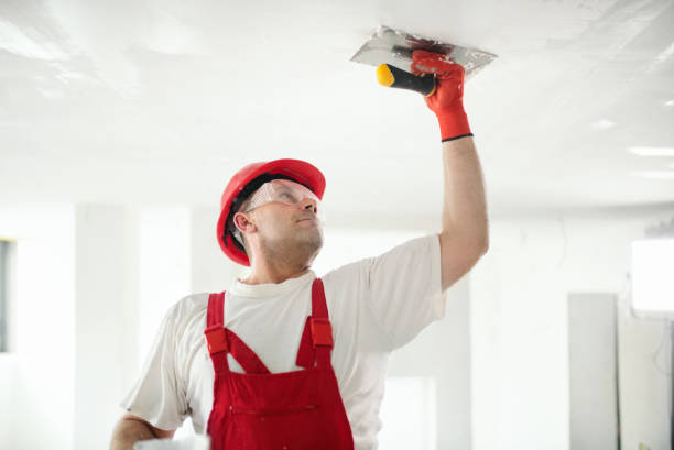 Best Real Estate Mold Inspection  in Soledad, CA