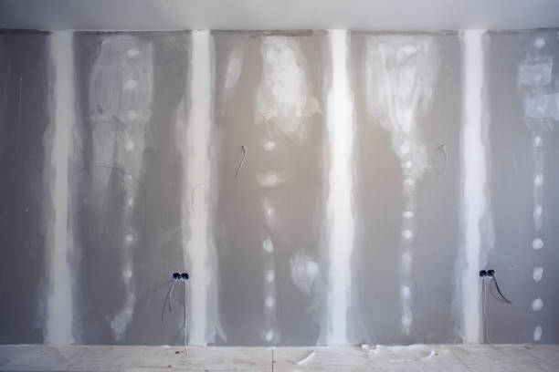 Best Basement Mold Removal  in Soledad, CA